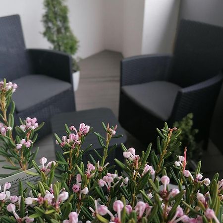 Szczecin Hanza Tower Apartment-Basen Екстериор снимка