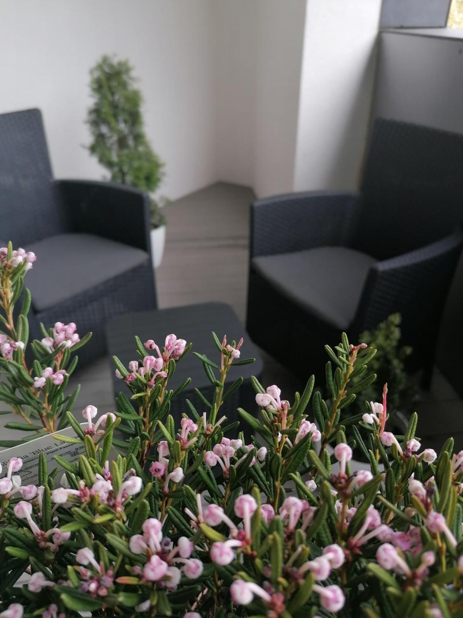 Szczecin Hanza Tower Apartment-Basen Екстериор снимка